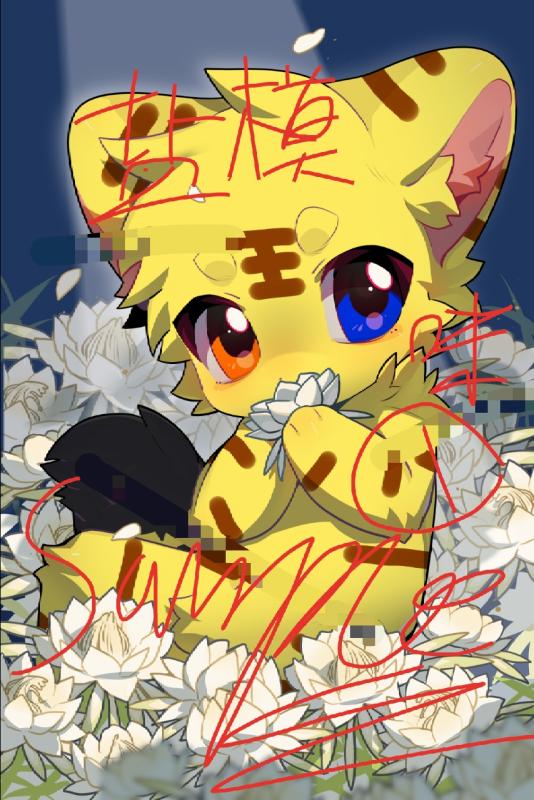 内容图片2